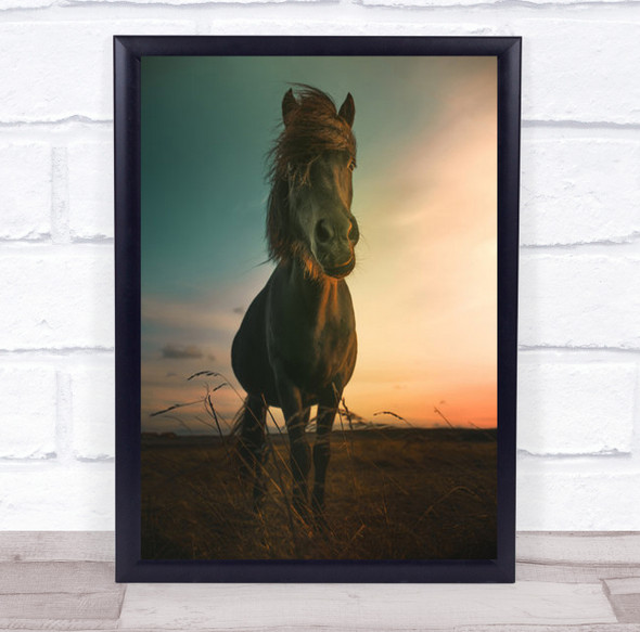 Sunset Horse Iceland Icelandic Denmark Nature Animal Wall Art Print