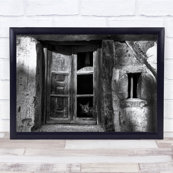 A Curious Cat Cats Pet Pets Animal Animals Old Door Wall Art Print