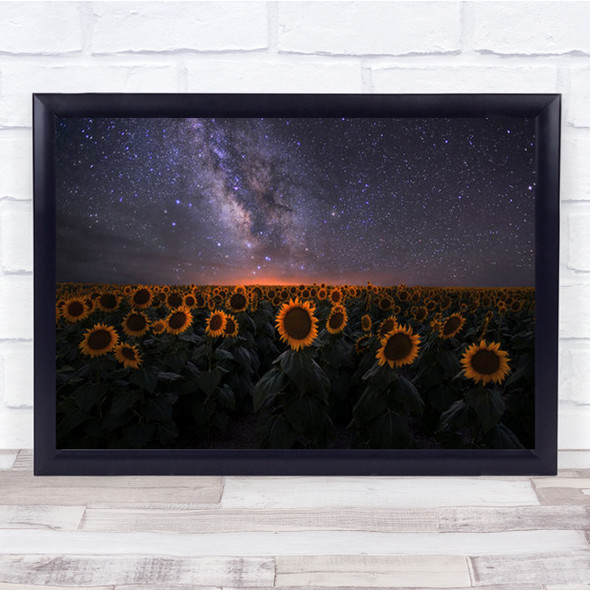 Dreamscape Sunflower Sunflowers Flower Flora Floral Wall Art Print