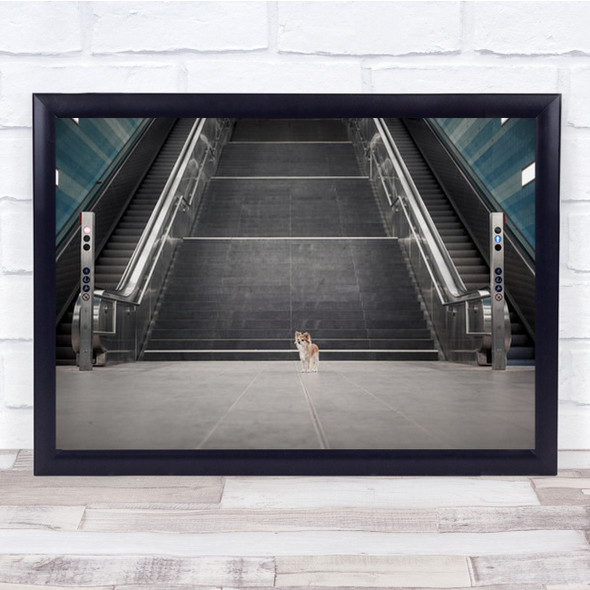 Escalators Animals Dogs Minimalism Graphics Hamburg Wall Art Print