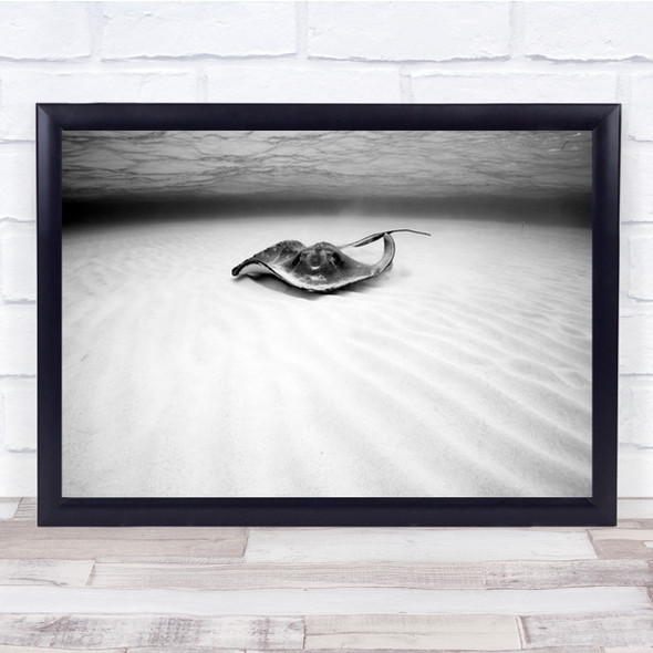Stingray Black-and-white Uw Underwater Diving Apnea Wall Art Print