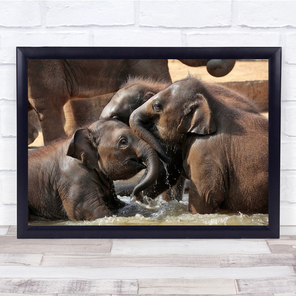 Water Fun Elephants Play Friendship Happy Happiness Wall Art Print