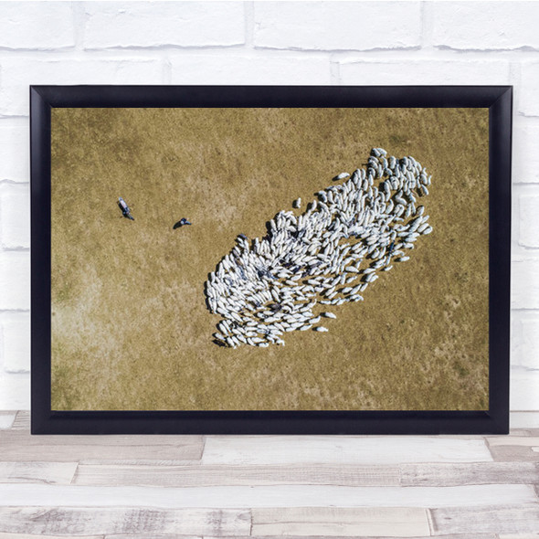 Autumn Grassland Aerial Herd Of Sheep And Shepherd Wall Art Print