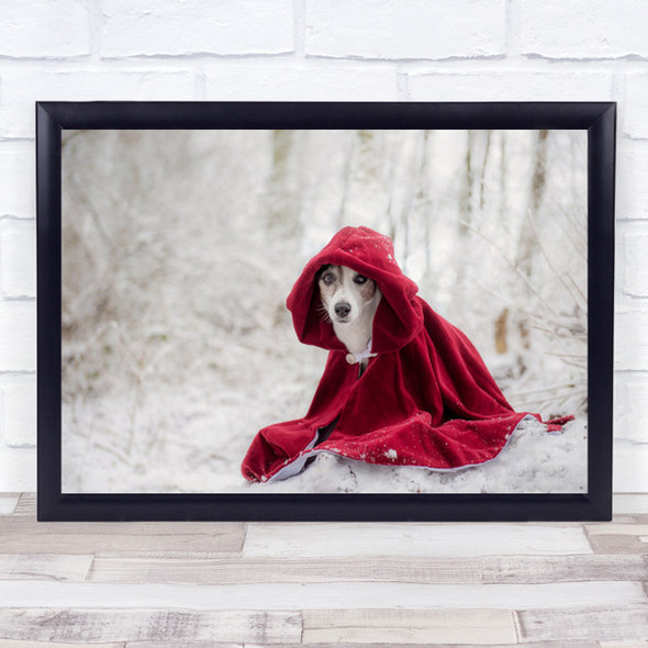 Little Red Riding Hood In Winter Dogs Portrait Dog Wall Art Print