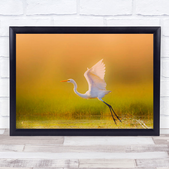 Take Off Sunset Sunrise Egret Wildlife Bird Travel Wall Art Print