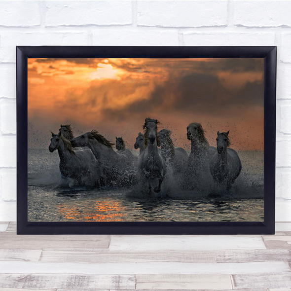 Horses Running Through The Marsh Camargue Delta Wall Art Print