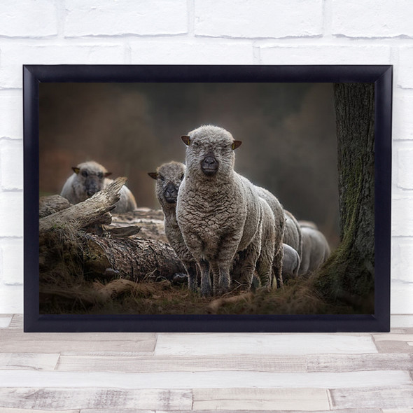 Sheep's Sheep Animal Animals Tree Forest Bokeh Wall Art Print