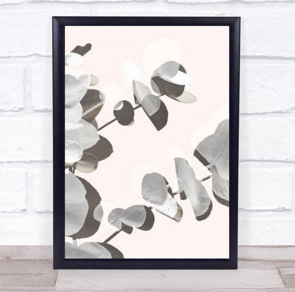 Eucalyptus Creative 14 Plant Botanical Studio Wall Art Print