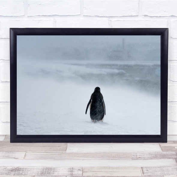 Good Bye Lonely Penguin Walking Into Distance Wall Art Print