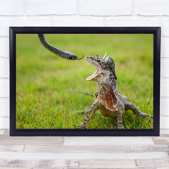 Lizard And Tiny Snake Close Together In Field Wall Art Print