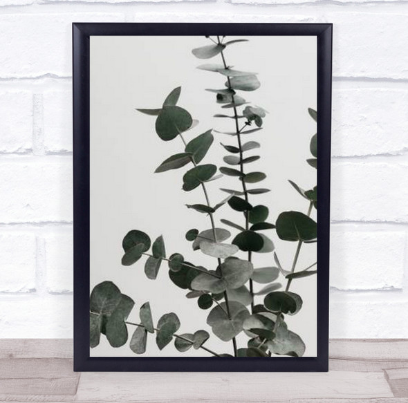 Eucalyptus Natural 07 Botanical Plant Studio Wall Art Print