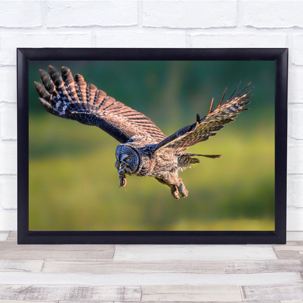 A Busy Morning Flying Owl With Little Mouse Wall Art Print