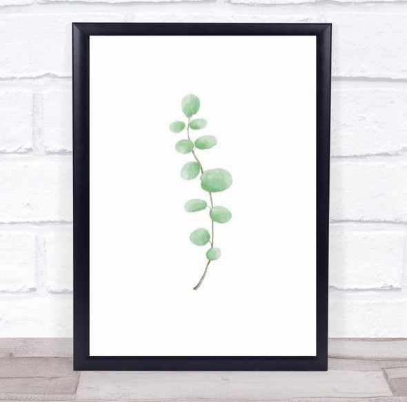 Branch Leaves Leaf Eucalyptus Illustration Wall Art Print