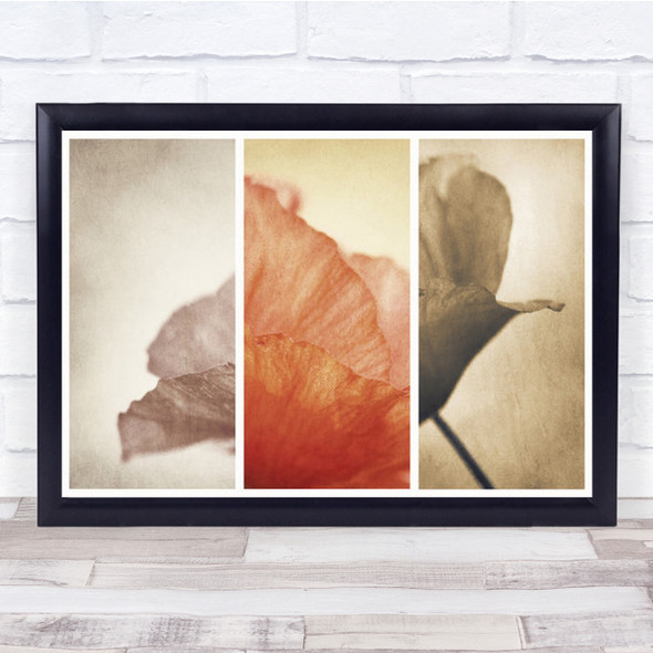 Fading Memories Flower Poppy Creative Edit Wall Art Print