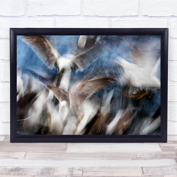 Gull Feeding Frenzy Nature Abstract Mayhem Wall Art Print