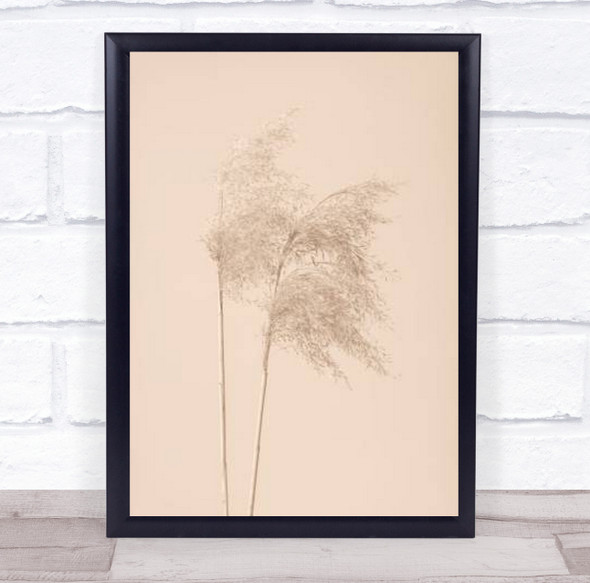 Reed Grass Beige 02 Dried Botanical Studio Wall Art Print