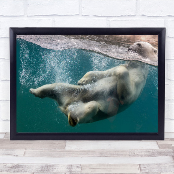 Bear Underwater Relaxing Head Above Water Wall Art Print
