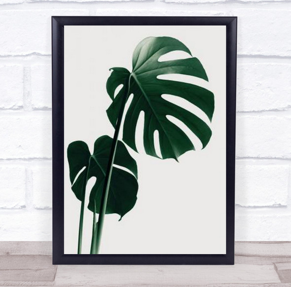 Monstera Natural 16 Studio Botanical Leaf Wall Art Print