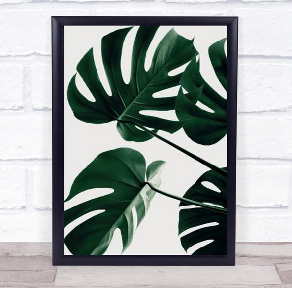 Monstera Natural 43 Botanical Studio Leaf Wall Art Print