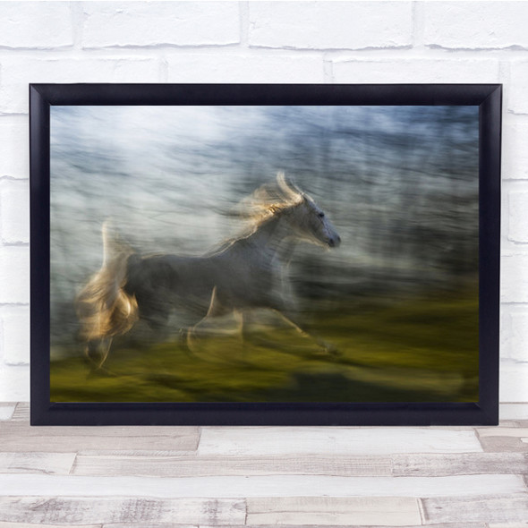 Fast White Horse Galloping Blurry Motion Wall Art Print