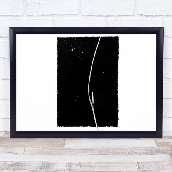 Rebirth Black And White Plant Distressed Wall Art Print