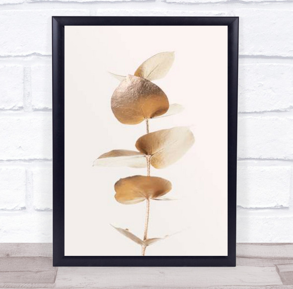 Eucalyptus Gold No 06 Botanical Studio Wall Art Print