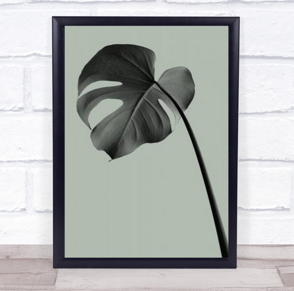 Monstera Teal 02 Studio Botanical Leaf Wall Art Print