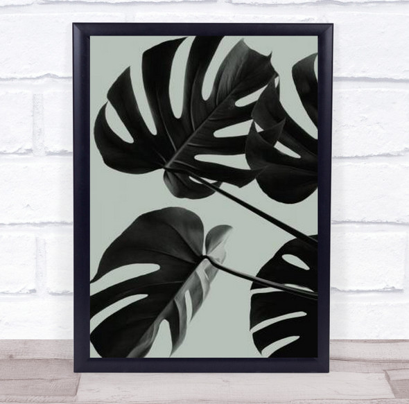 Monstera Teal 08 Studio Botanical Leaf Wall Art Print