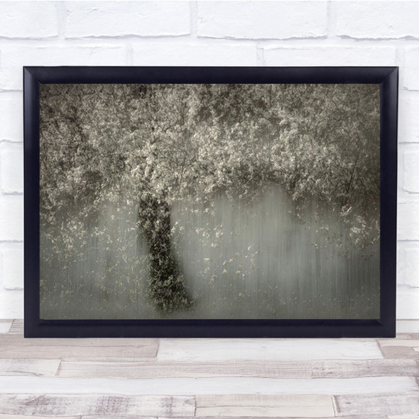 White Blossom Spring Icm Creative Edit Wall Art Print