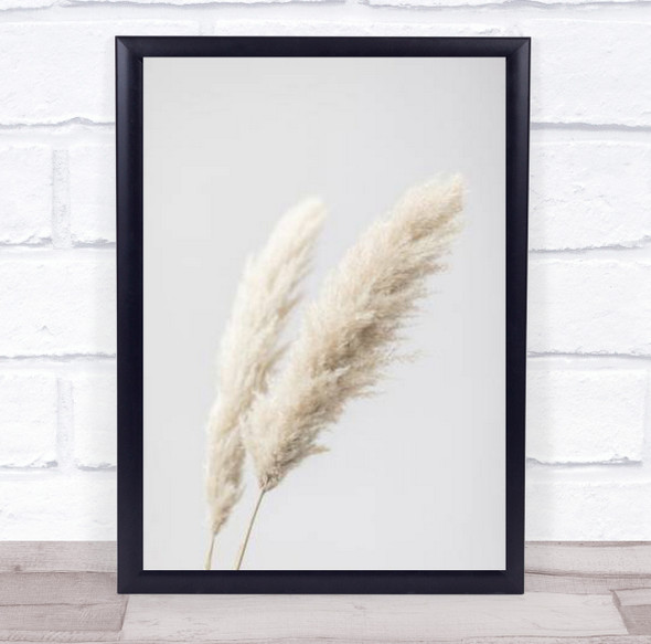 Pampas Grass Grey 13 Botanical Studio Wall Art Print