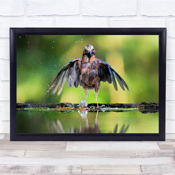 Totally Wet Bird Flapping Wings Water Wall Art Print