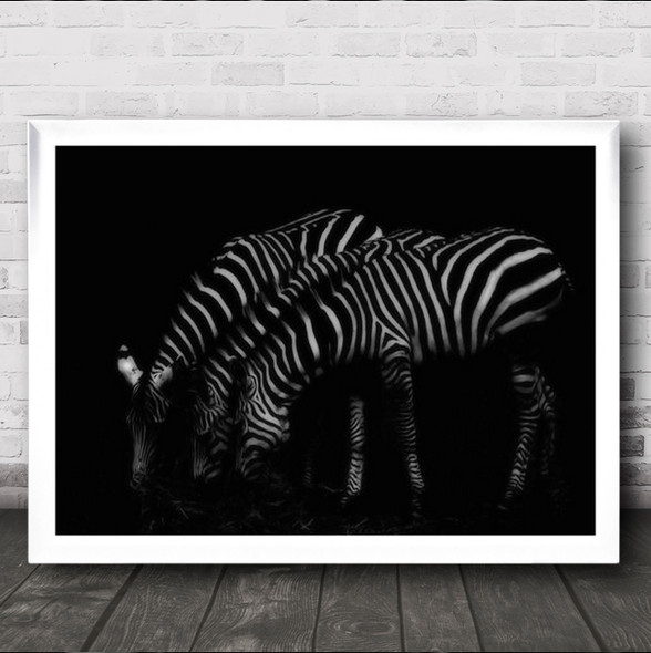 Zebra Crossing Dark Drinking Together Wall Art Print