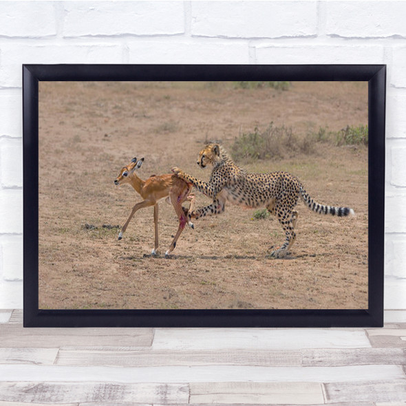 First Catching Leopard Hunting Deer Wall Art Print