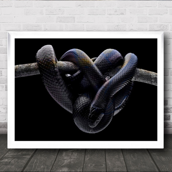 Dark Evil Snake Wrap Around Branch Wall Art Print