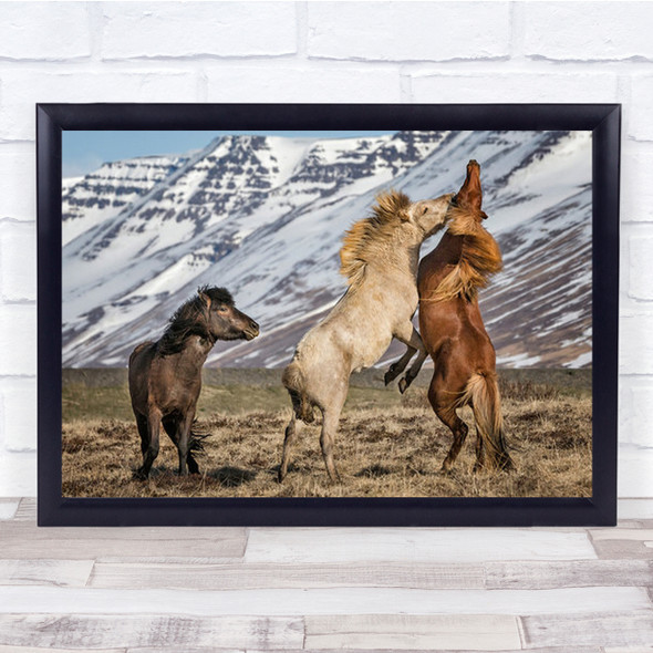 Expression Horses Playful In Field Wall Art Print