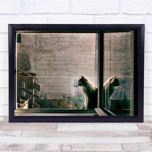 Distressed Sleepy Cats Reflection Wall Art Print