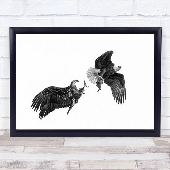 Fight For Food Eagles Mid Flight Wall Art Print