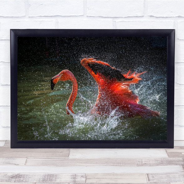 Fire On Water Flamingo Splashing Wall Art Print