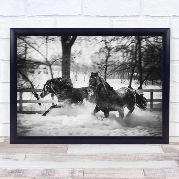 Side By Horses Galloping In Snow Wall Art Print