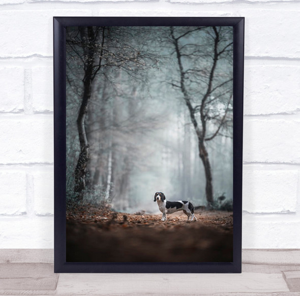 Dog Alone In Dark Forest Leaves Wall Art Print