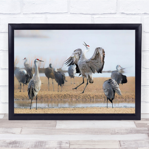 Flock Of Birds Meeting In Field Wall Art Print