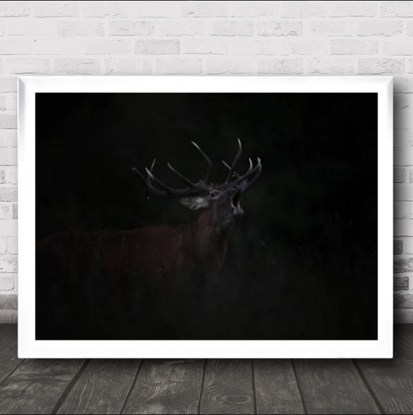 The Dark Side Of Rut Deer Alone Wall Art Print