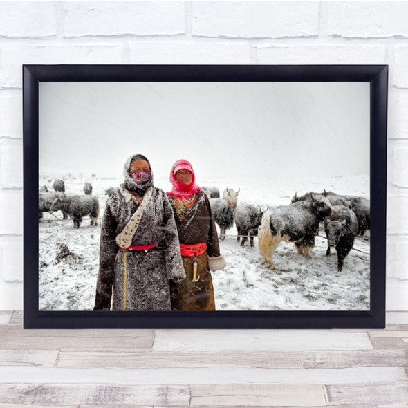 Snowy People With Cattle Cows Wall Art Print