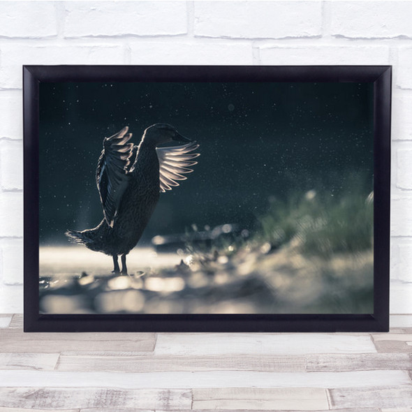 Duck Flapping Wings On Water Wall Art Print