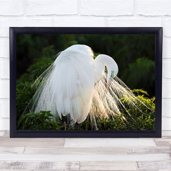 Princess Of The Sun Heron Wall Art Print