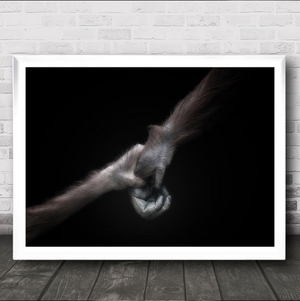 Trust Monkey Hand In Arms Wall Art Print