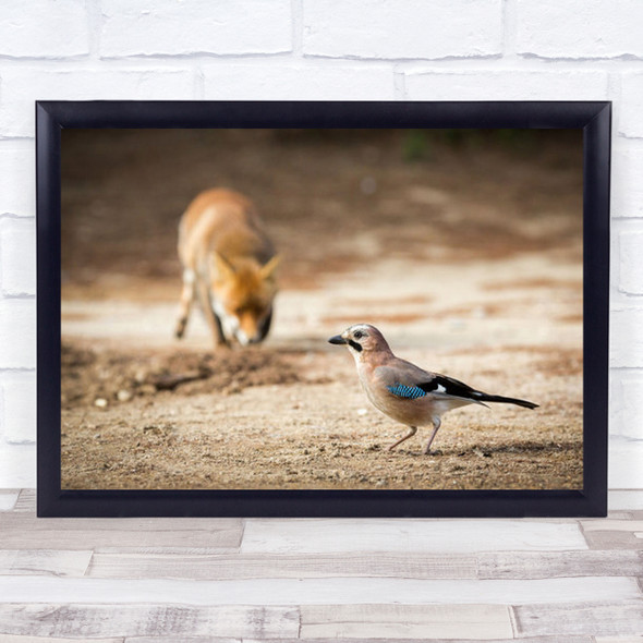 Attack Fox Hunting Bird Wall Art Print