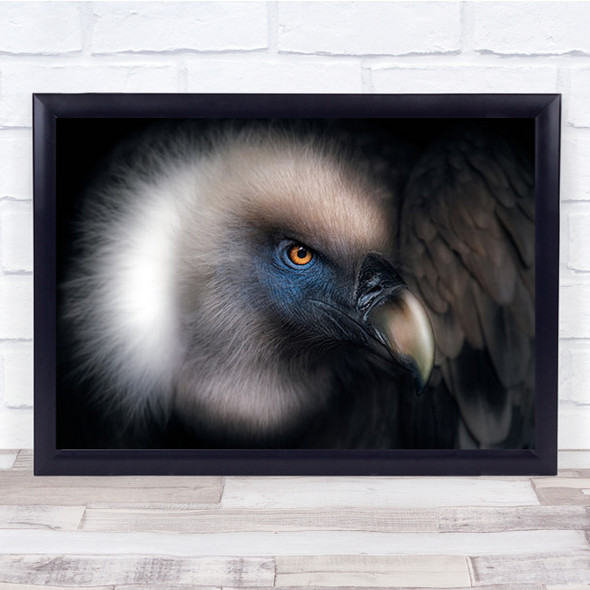 Vulture Look Close Up Wall Art Print