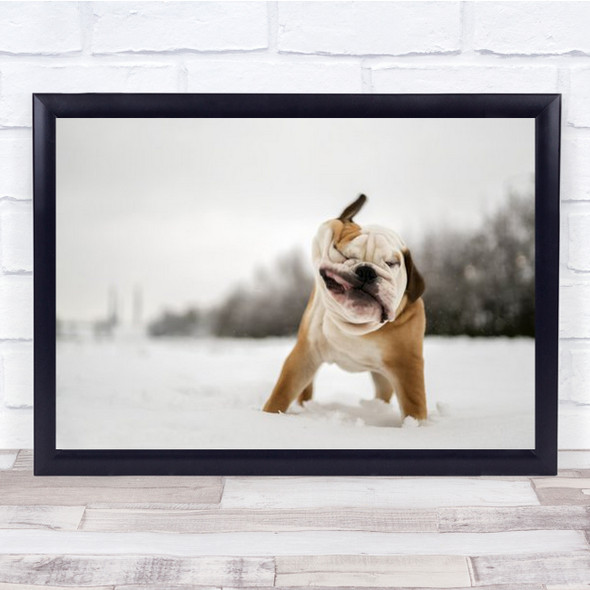 Shake Bulldog Snow Wall Art Print