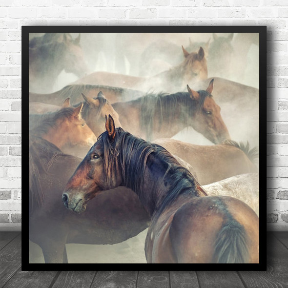 Horse Horses Animals Animal Soft Dust Wildhorse's Mane Flock Herd Square Wall Art Print